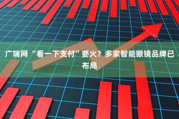 广瑞网 “看一下支付”要火？多家智能眼镜品牌已布局