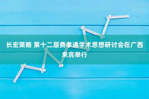 长宏策略 第十二届费孝通学术思想研讨会在广西来宾举行